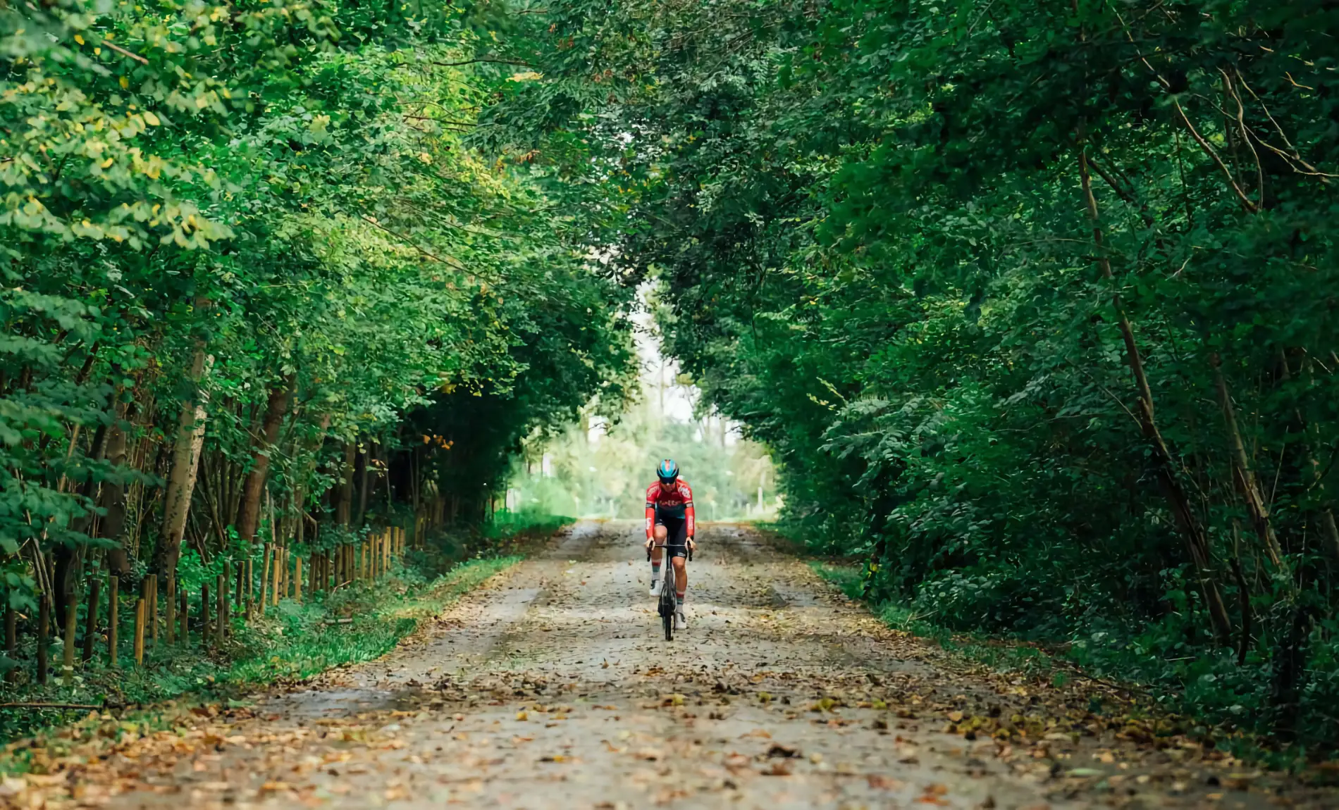 Orbea Terra in Action