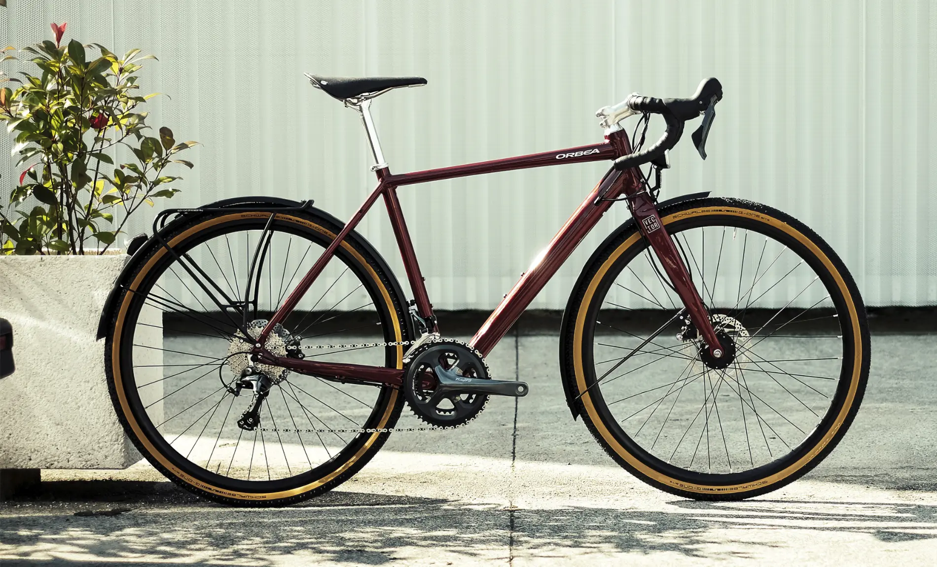Orbea Terra in Action